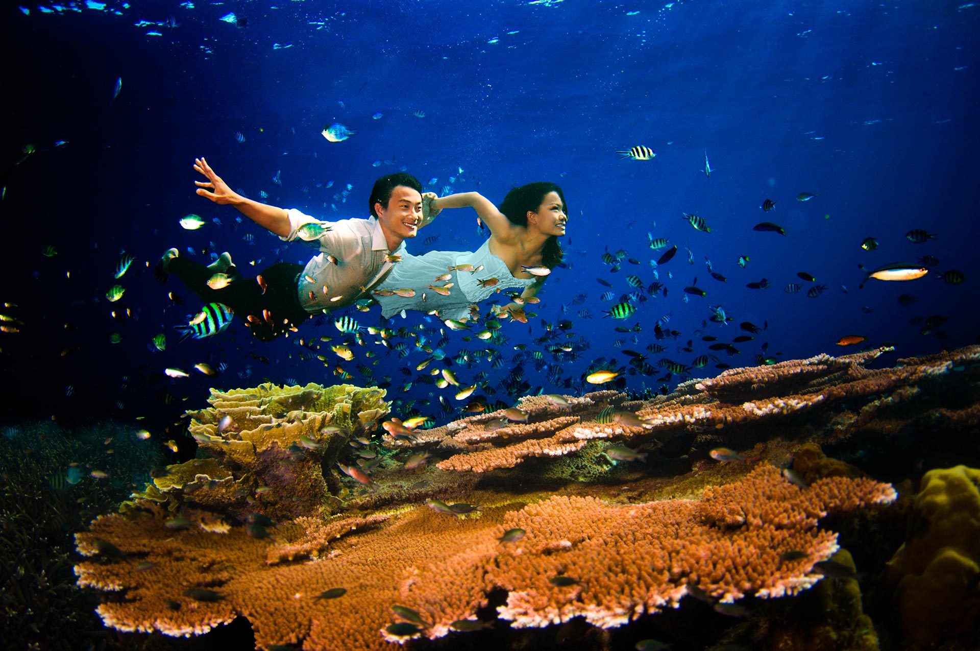 Underwater prewedding photography a creative underwater bridal shoot