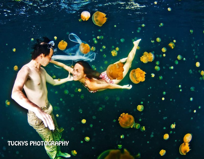 Singapore underwater portrait photography. Palau underwater prewedding shoot with jellyfish — underwater portrait photographer singapore, underwater photography singapore