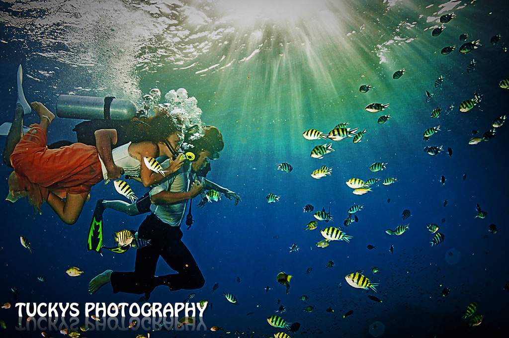 Underwater Pre-wedding Photography